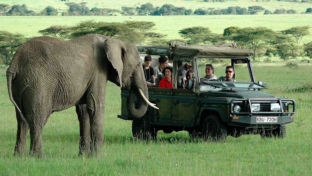 experts in safari travel